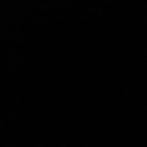 Meet your Posher, Chelsie